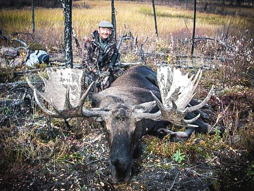 Bull Moose 1