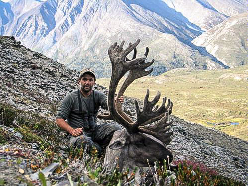 Mtn Caribou 1