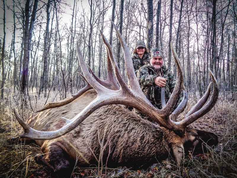 Trophy Elk 1