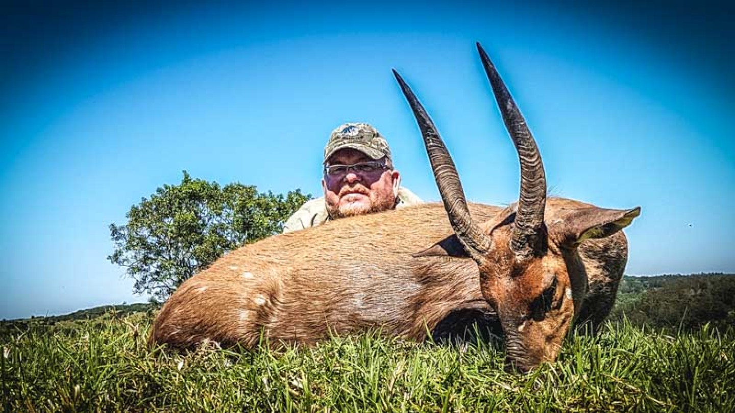 Bushbuck