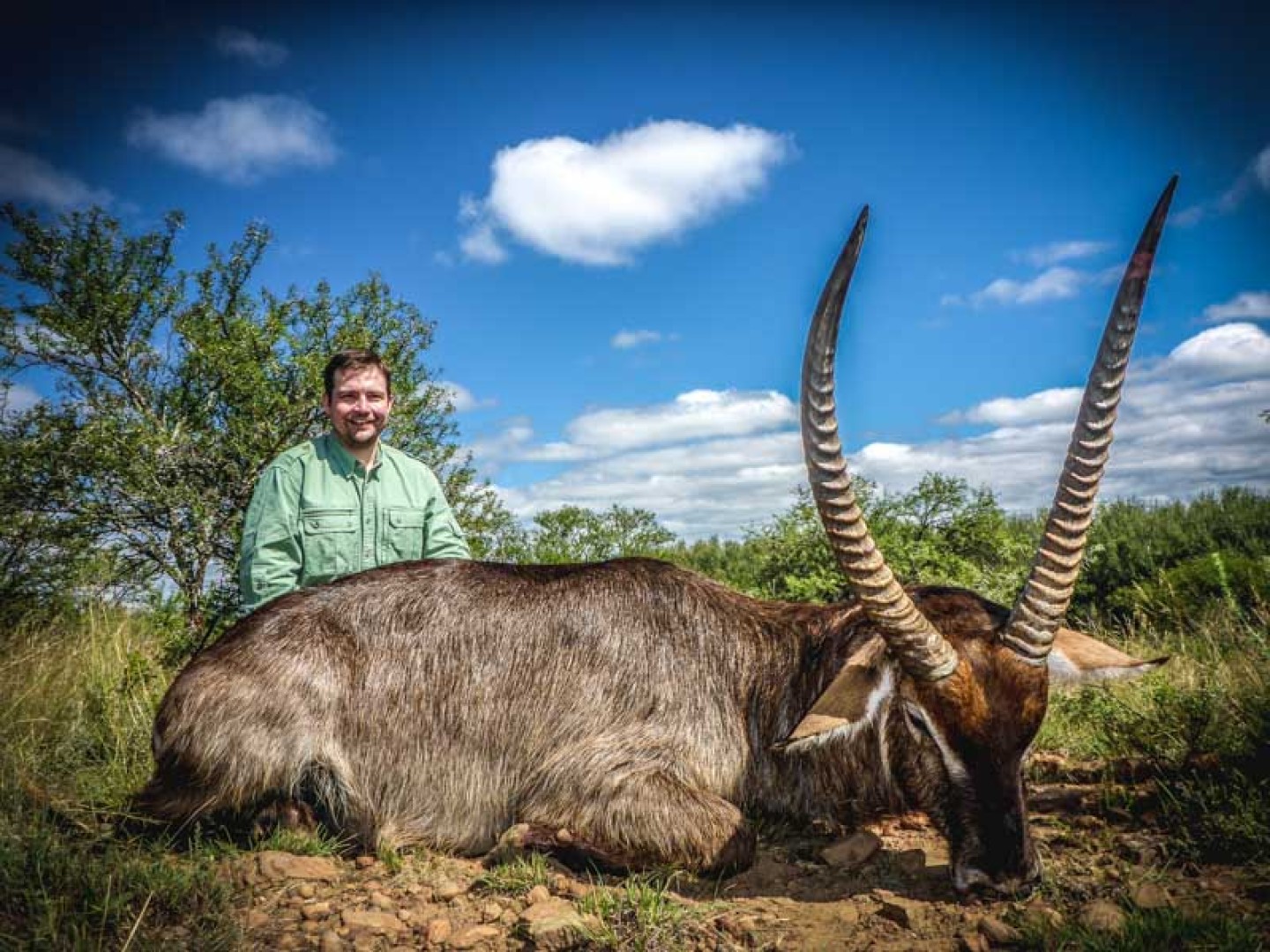 Waterbuck