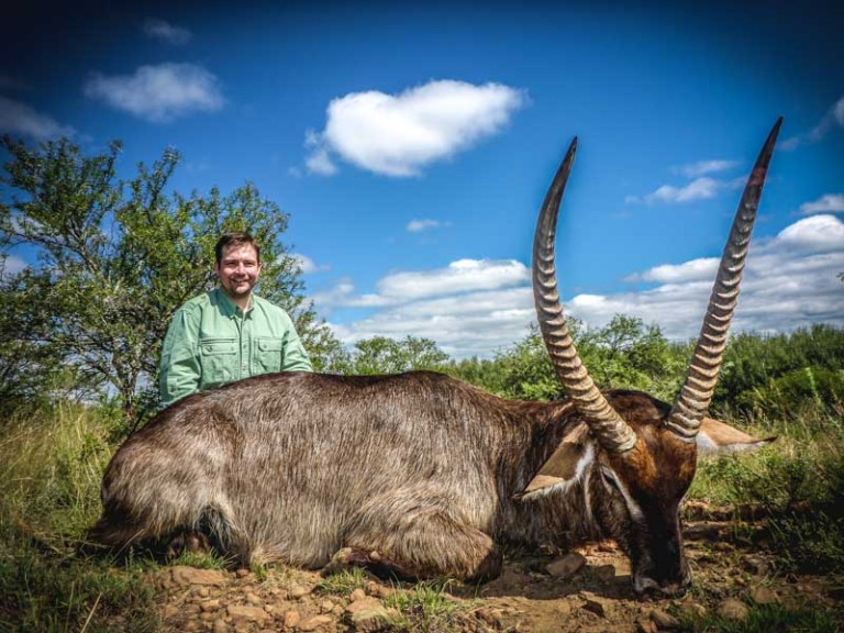 Waterbuck