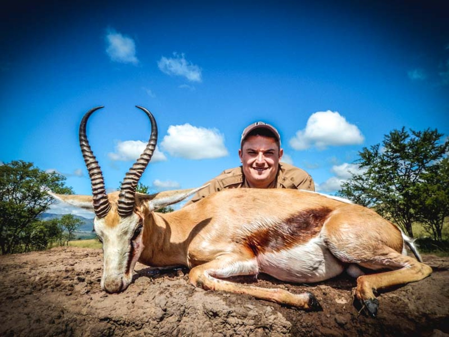 Common Springbuck