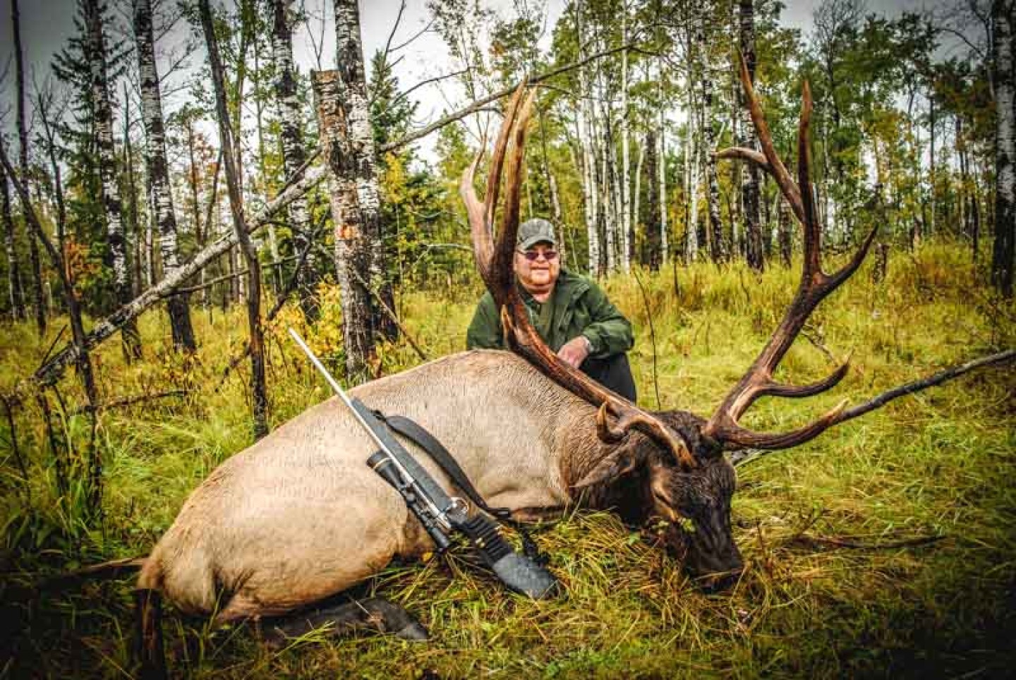 Trophy Elk 3