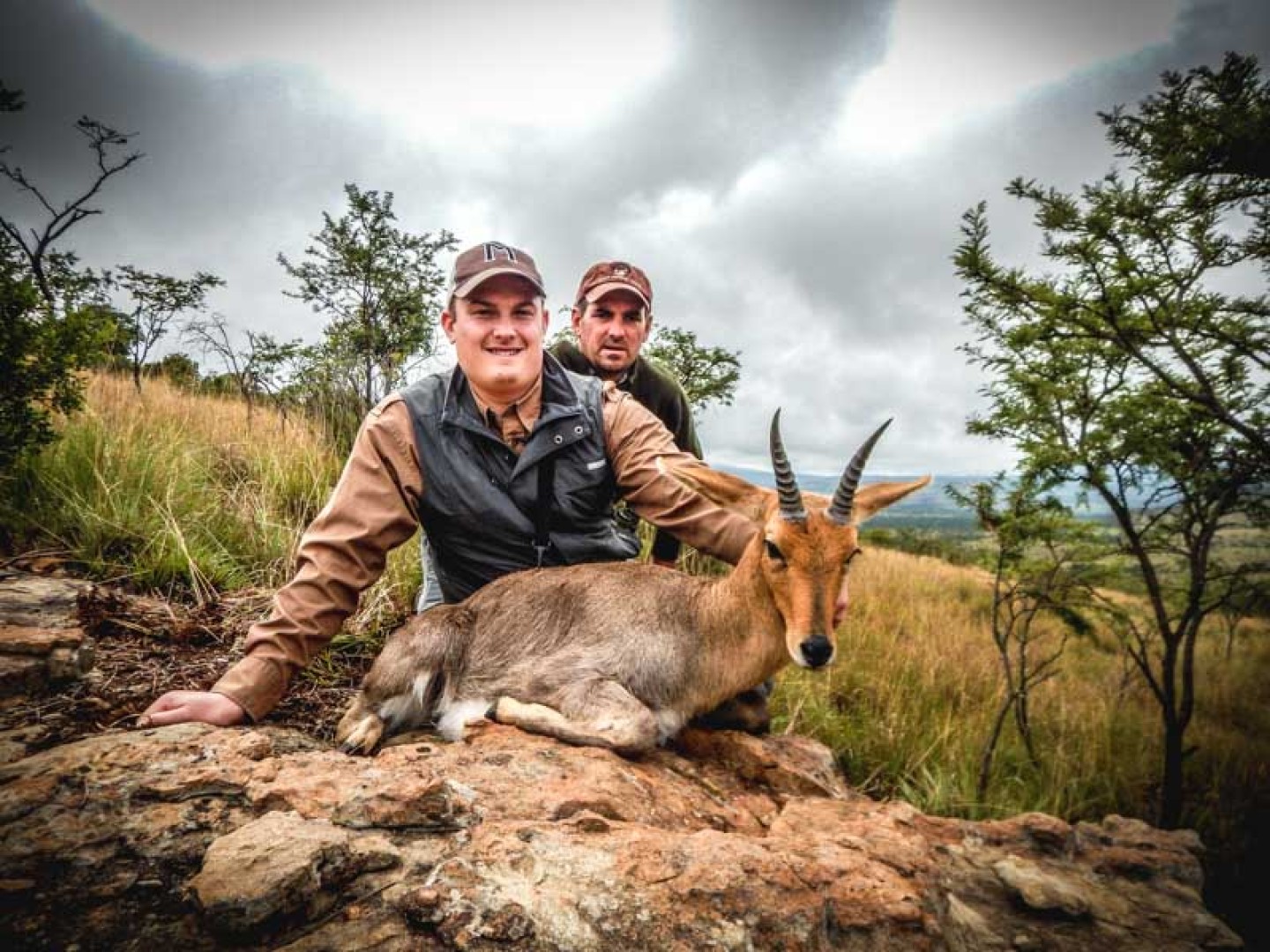 Moutain Reedbuck