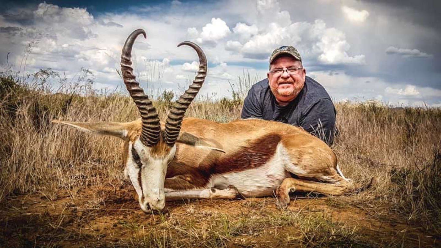 Kalahari Springbuck