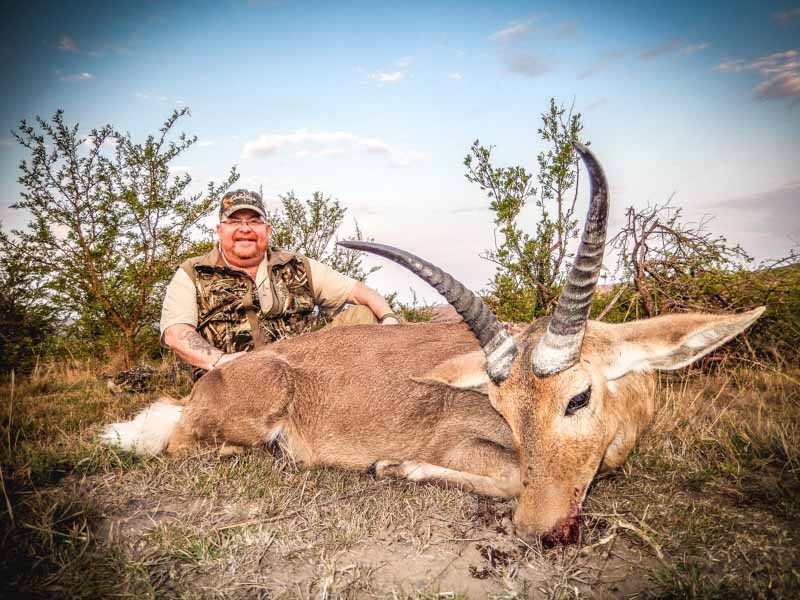 Common Reedbuck