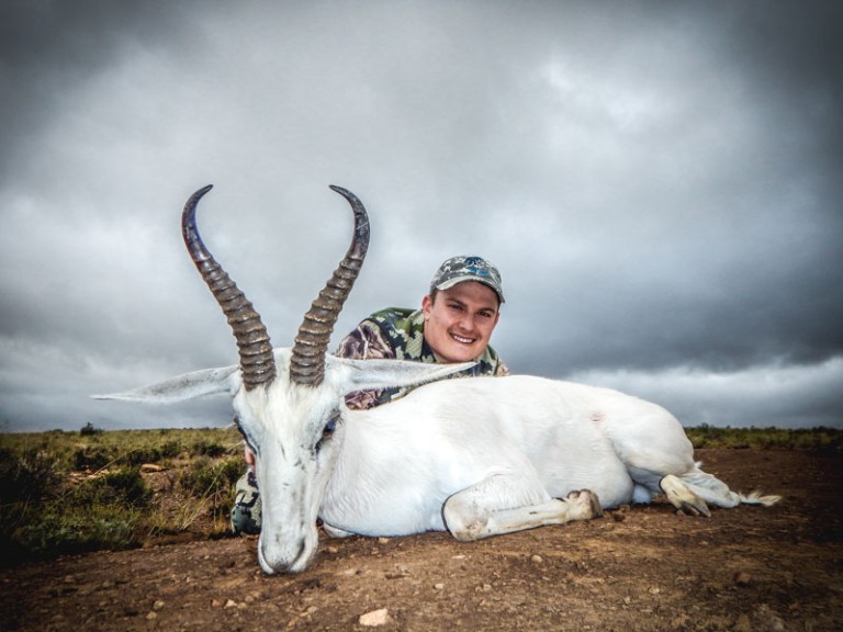 White Springbuck