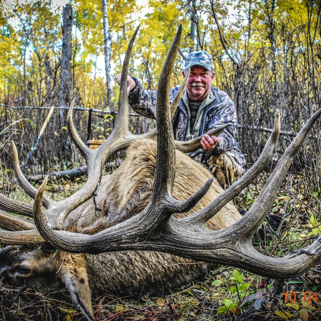 Elk